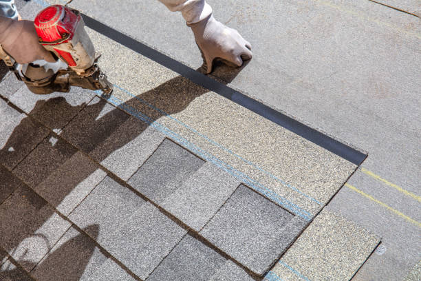 Quick and Trustworthy Emergency Roof Repair Services in Bellview, FL