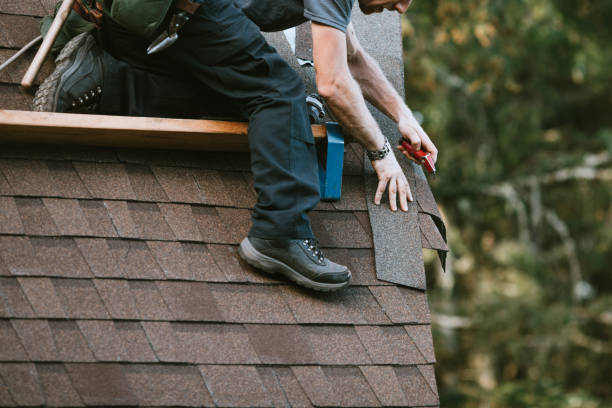Best Gutter Installation and Roofing  in Bellview, FL