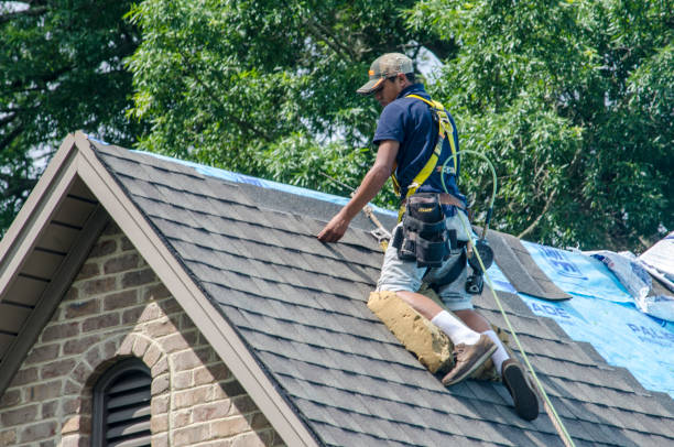 Best Shingle Roofing Installation  in Bellview, FL